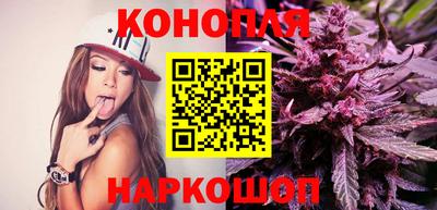 прущие грибы Малгобек