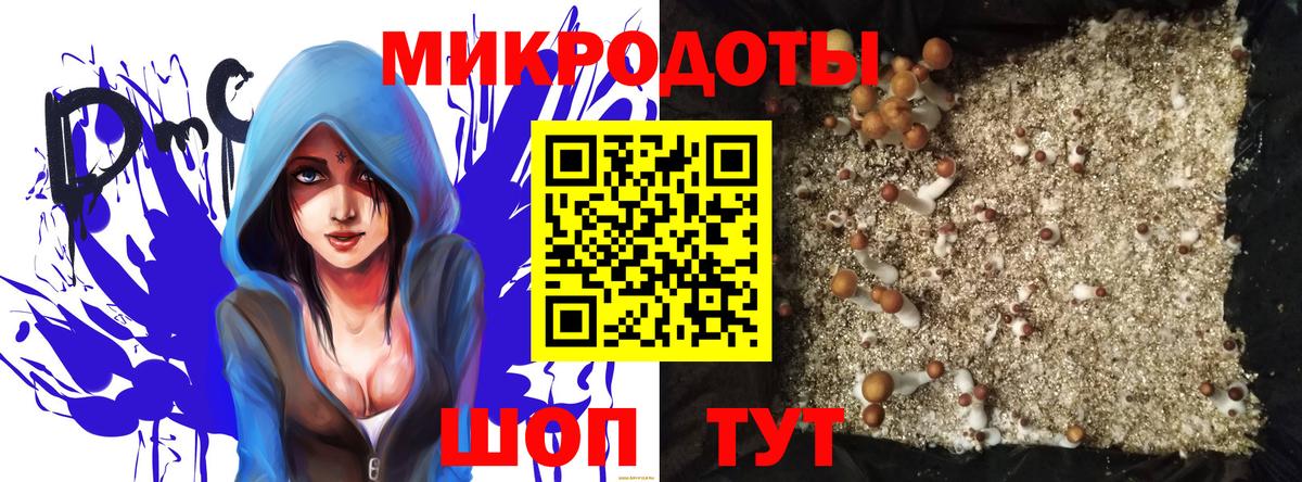 Псилоцибиновые грибы GOLDEN TEACHER Истра