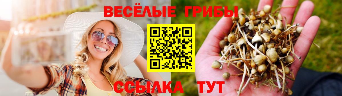 Псилоцибиновые грибы MAGIC MUSHROOMS  Псилоцибиновые грибы Psilocybine cubensis  Истра  Вход с VPN 