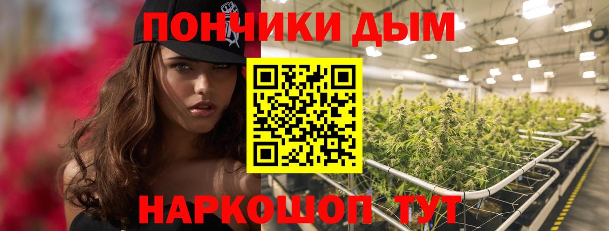 Бошки Шишки ГИДРОПОН Истра
