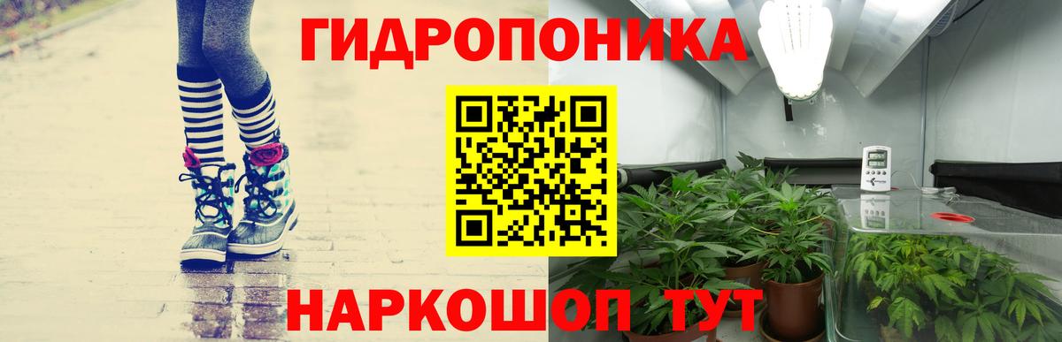 Марихуана White Widow  Марихуана сатива  Конопля THC 21%  Истра  Марихуана LSD WEED  Вход с VPN 